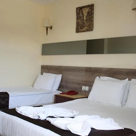 מלון Grand Sevgi פמוקלה